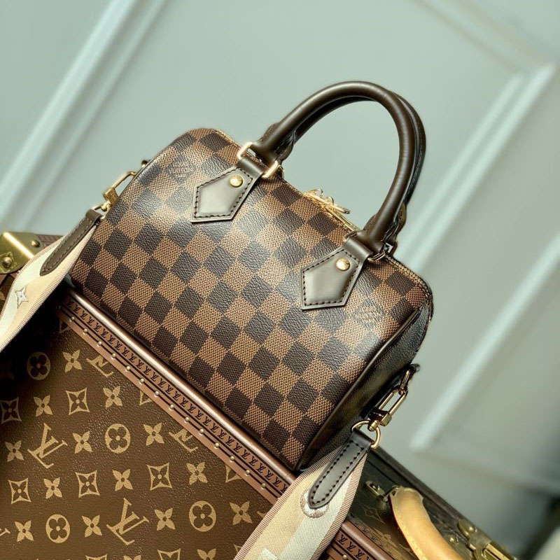 LV Speedy Bags - Click Image to Close